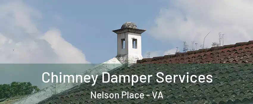 Chimney Damper Services Nelson Place - VA