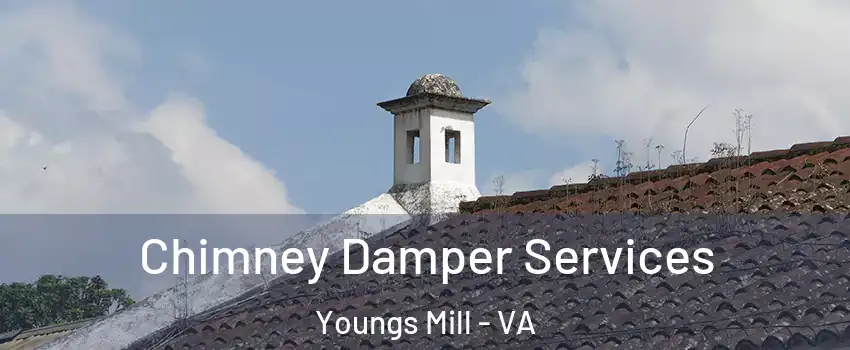 Chimney Damper Services Youngs Mill - VA