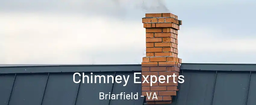 Chimney Experts Briarfield - VA