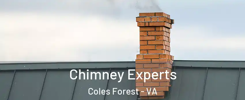 Chimney Experts Coles Forest - VA