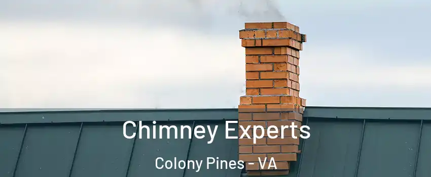 Chimney Experts Colony Pines - VA