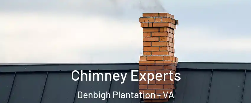 Chimney Experts Denbigh Plantation - VA