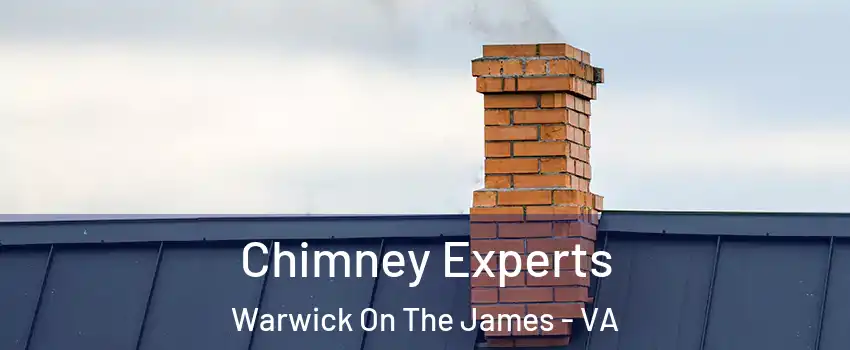 Chimney Experts Warwick On The James - VA