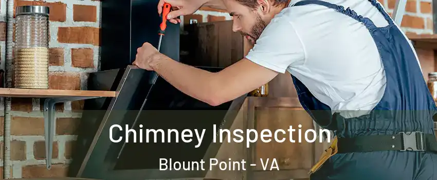 Chimney Inspection Blount Point - VA