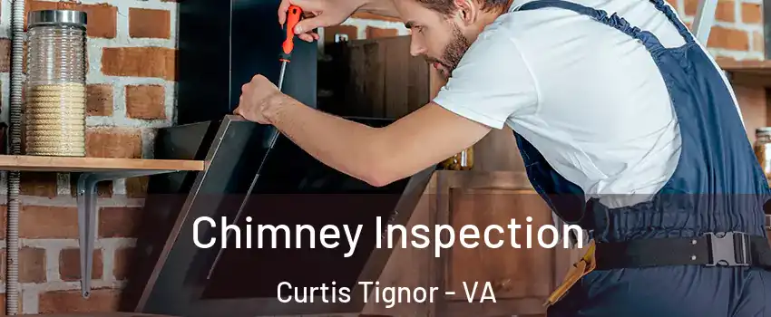 Chimney Inspection Curtis Tignor - VA