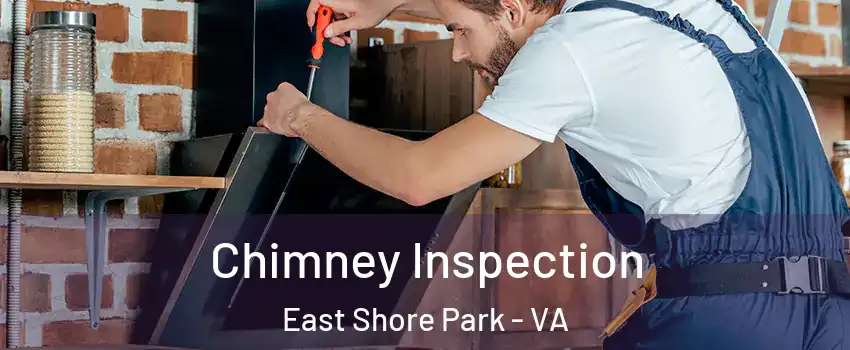 Chimney Inspection East Shore Park - VA