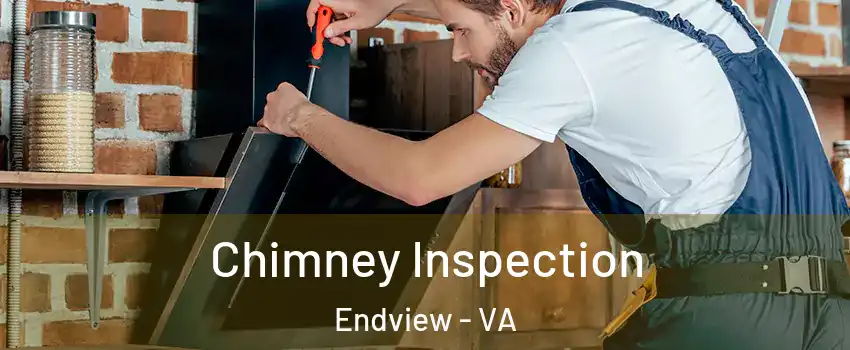 Chimney Inspection Endview - VA