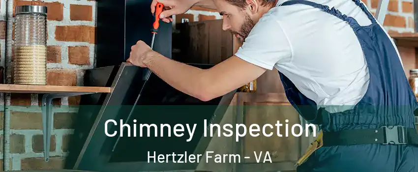 Chimney Inspection Hertzler Farm - VA