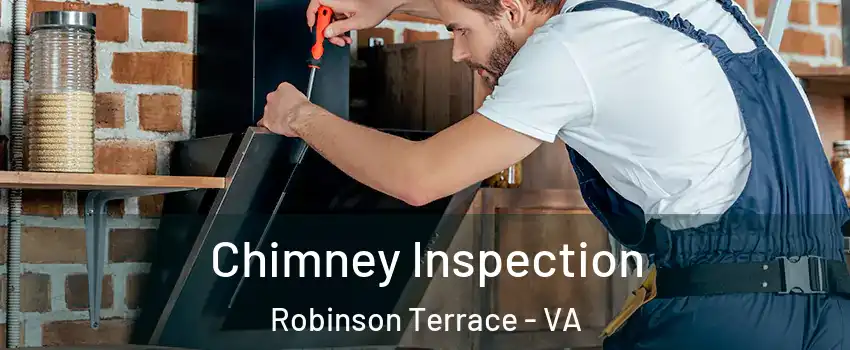 Chimney Inspection Robinson Terrace - VA