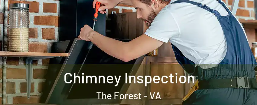 Chimney Inspection The Forest - VA