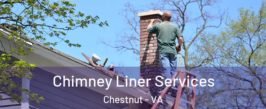 Chimney Liner Services Chestnut - VA