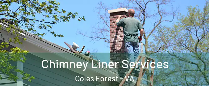 Chimney Liner Services Coles Forest - VA