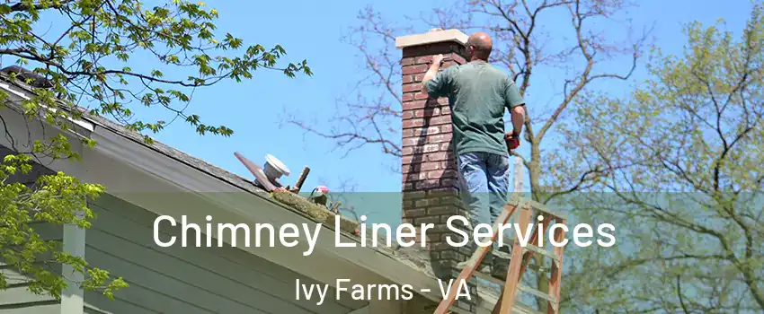 Chimney Liner Services Ivy Farms - VA