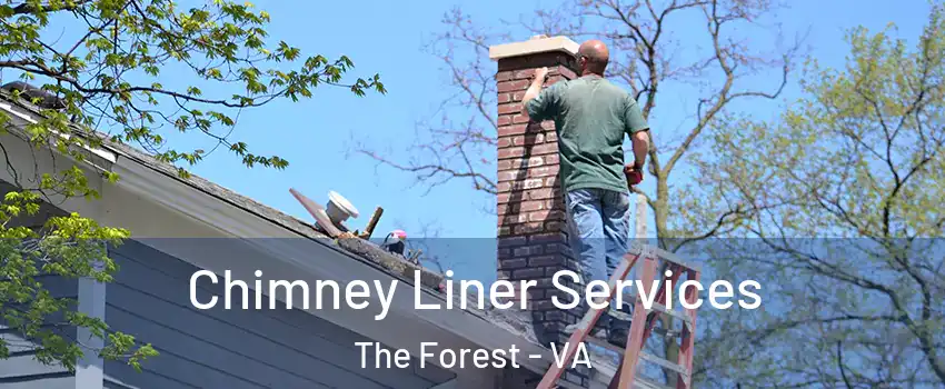 Chimney Liner Services The Forest - VA