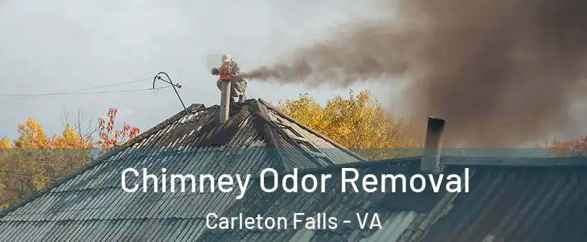 Chimney Odor Removal Carleton Falls - VA