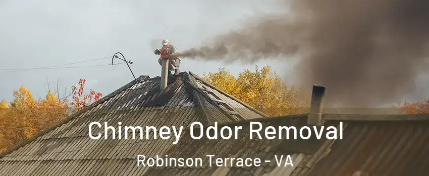 Chimney Odor Removal Robinson Terrace - VA