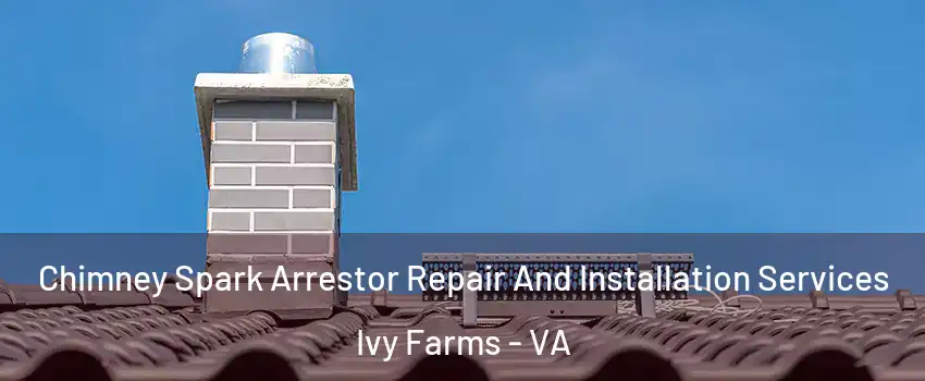 Chimney Spark Arrestor Repair And Installation Services Ivy Farms - VA