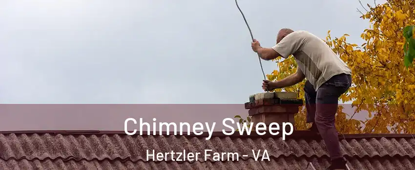 Chimney Sweep Hertzler Farm - VA