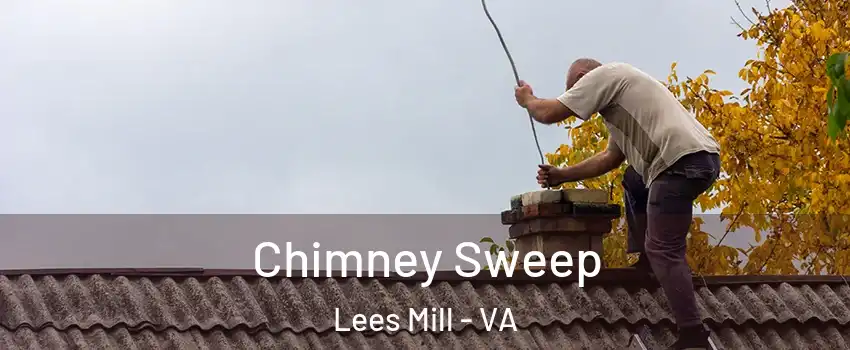 Chimney Sweep Lees Mill - VA