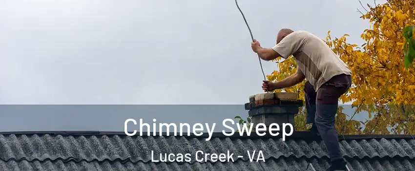 Chimney Sweep Lucas Creek - VA