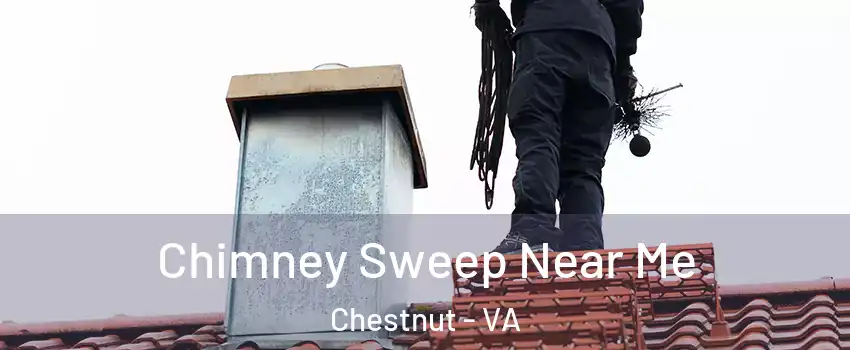 Chimney Sweep Near Me Chestnut - VA