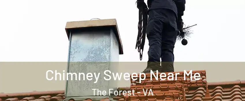 Chimney Sweep Near Me The Forest - VA