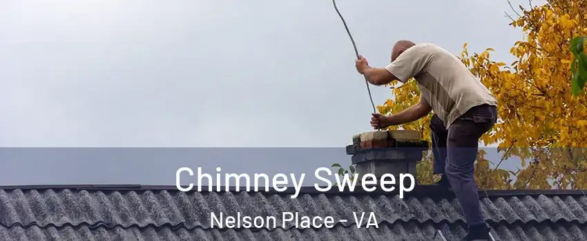 Chimney Sweep Nelson Place - VA