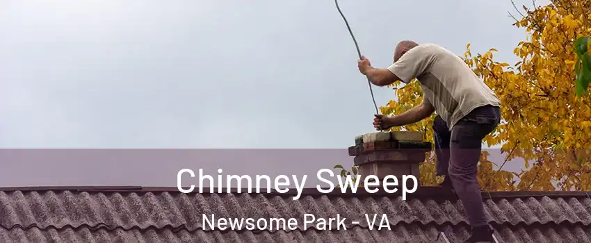 Chimney Sweep Newsome Park - VA