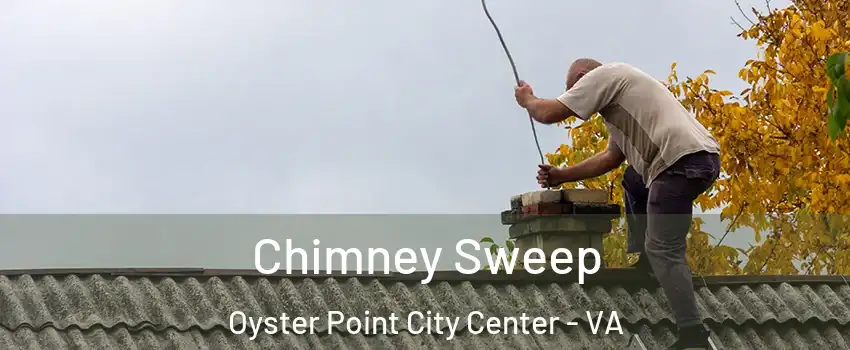 Chimney Sweep Oyster Point City Center - VA