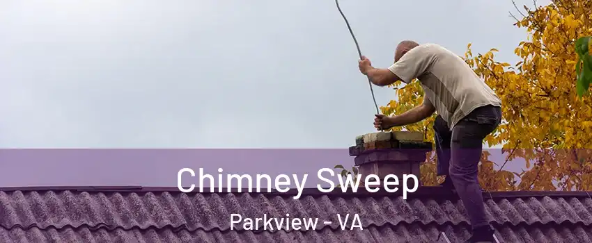 Chimney Sweep Parkview - VA