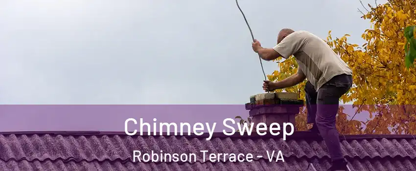 Chimney Sweep Robinson Terrace - VA