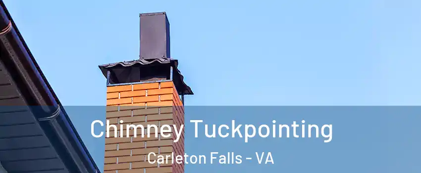 Chimney Tuckpointing Carleton Falls - VA