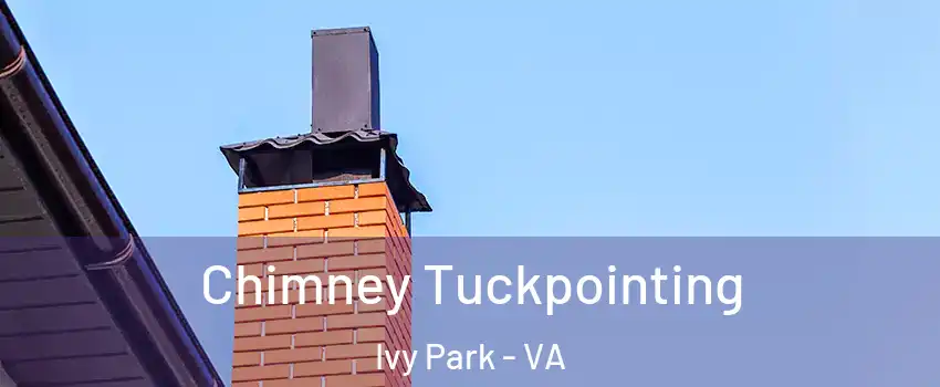 Chimney Tuckpointing Ivy Park - VA