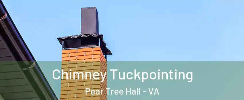 Chimney Tuckpointing Pear Tree Hall - VA