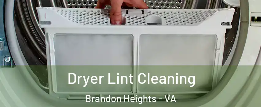 Dryer Lint Cleaning Brandon Heights - VA