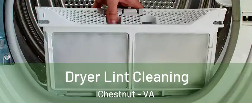 Dryer Lint Cleaning Chestnut - VA