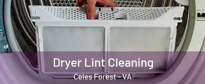 Dryer Lint Cleaning Coles Forest - VA