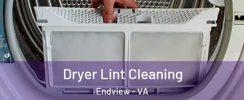 Dryer Lint Cleaning Endview - VA