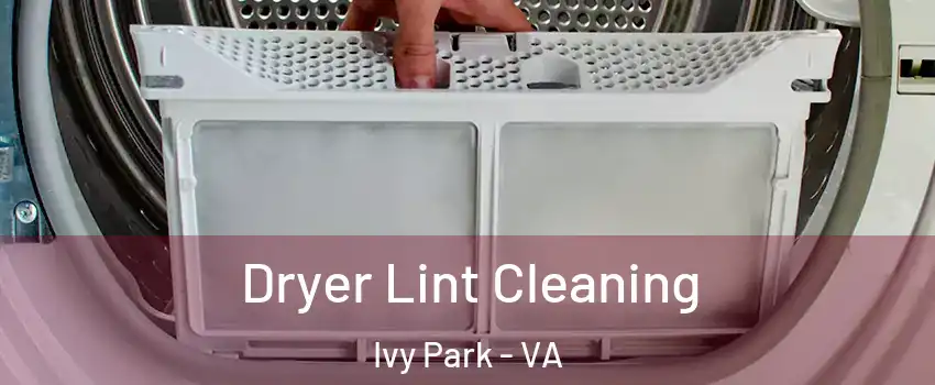 Dryer Lint Cleaning Ivy Park - VA