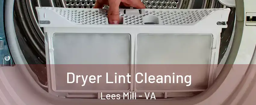 Dryer Lint Cleaning Lees Mill - VA