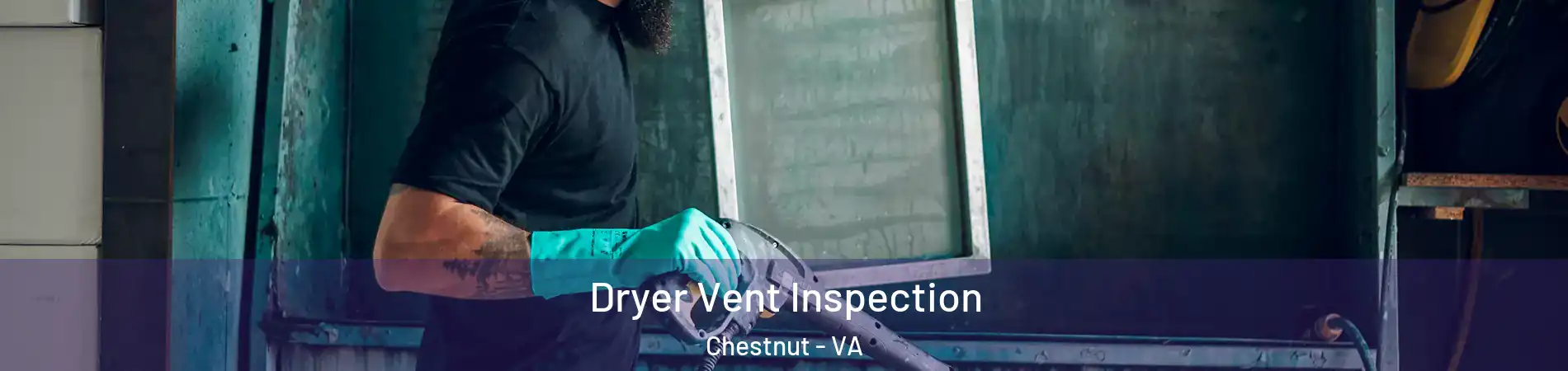 Dryer Vent Inspection Chestnut - VA