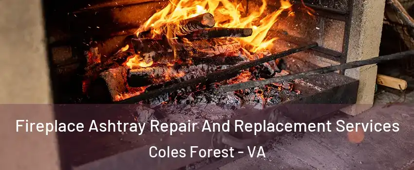 Fireplace Ashtray Repair And Replacement Services Coles Forest - VA