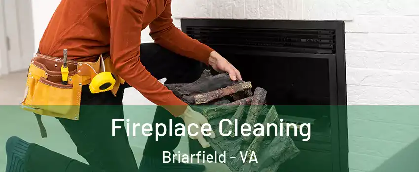 Fireplace Cleaning Briarfield - VA