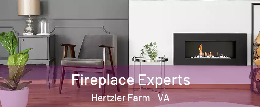 Fireplace Experts Hertzler Farm - VA