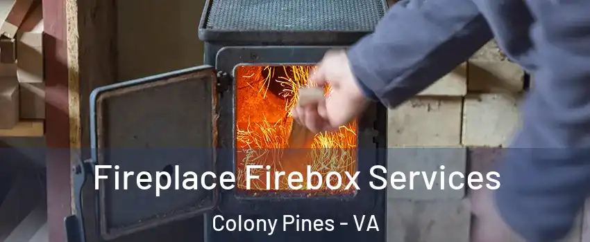 Fireplace Firebox Services Colony Pines - VA