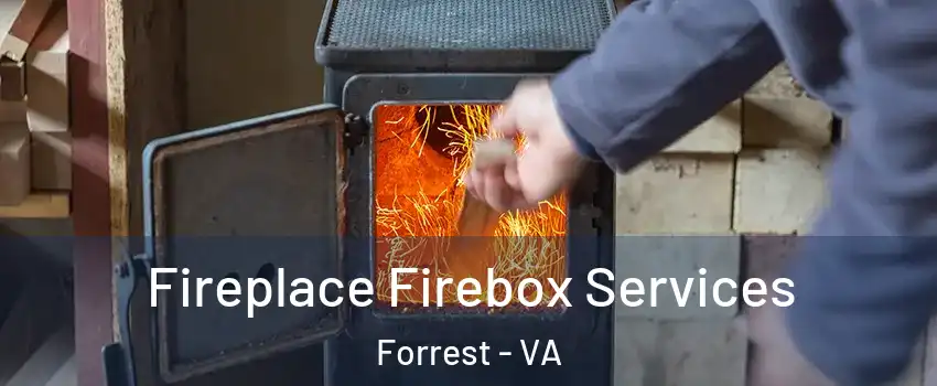 Fireplace Firebox Services Forrest - VA