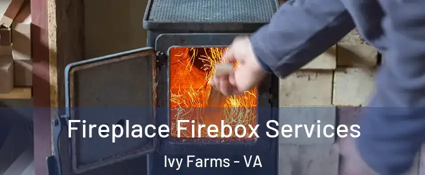 Fireplace Firebox Services Ivy Farms - VA