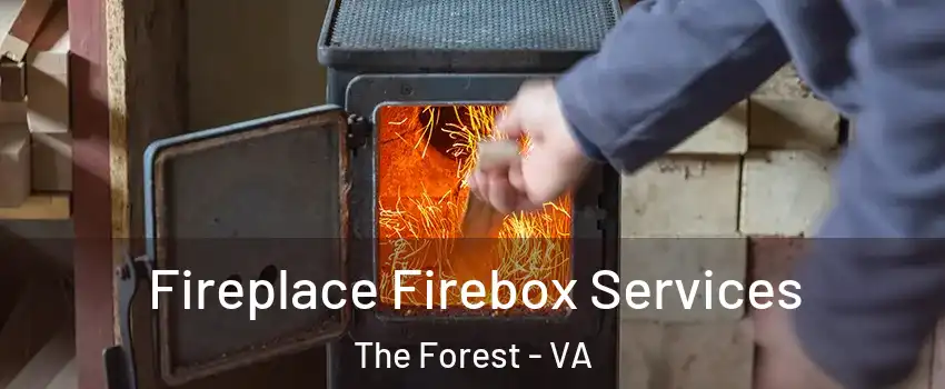 Fireplace Firebox Services The Forest - VA