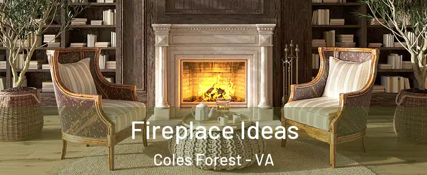 Fireplace Ideas Coles Forest - VA