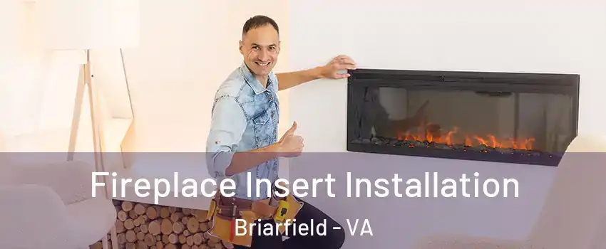 Fireplace Insert Installation Briarfield - VA